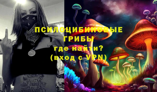 скорость Алексин